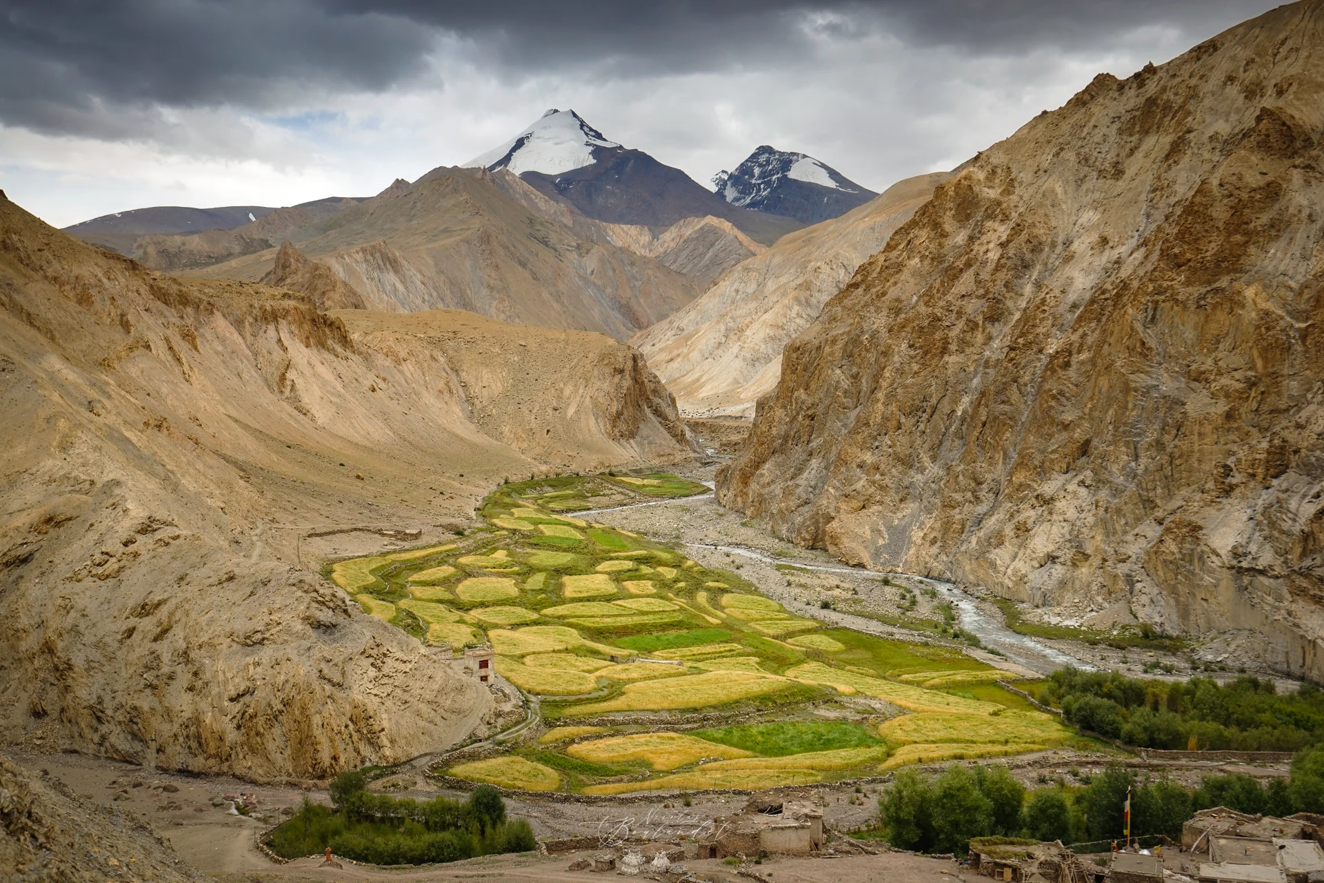 Kang Yatze vallée de la MARKHA LADAKH