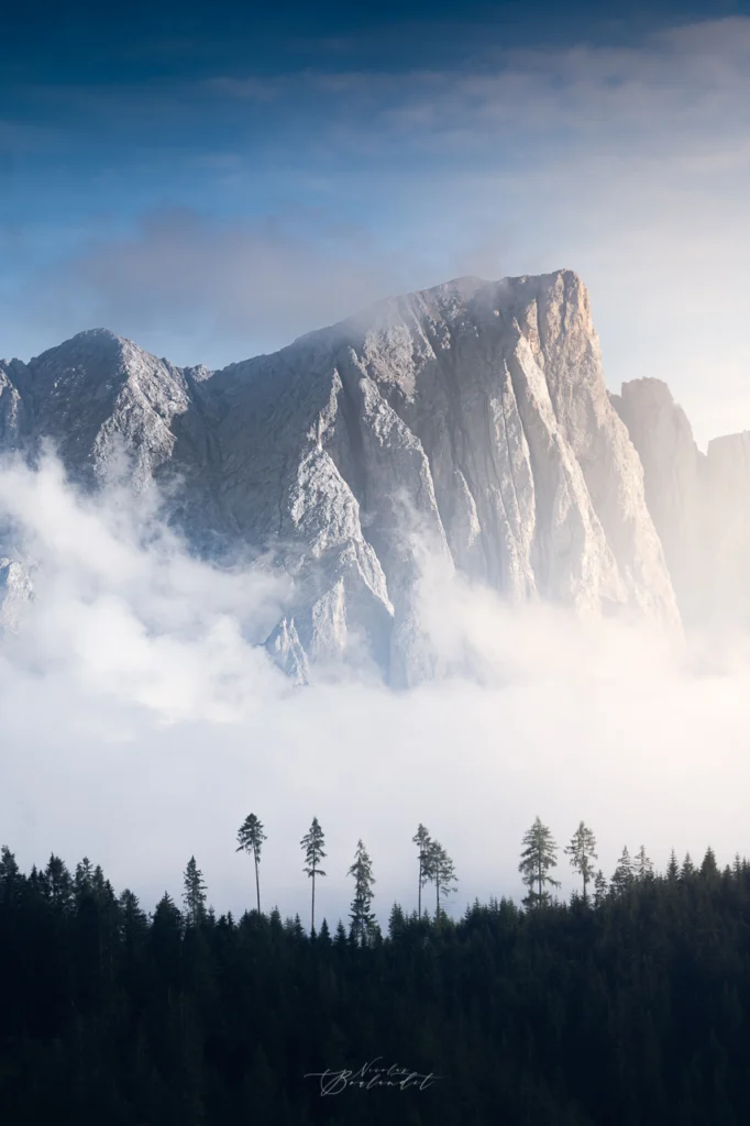 Montagne des Dolomites dans la Brume et la fôret