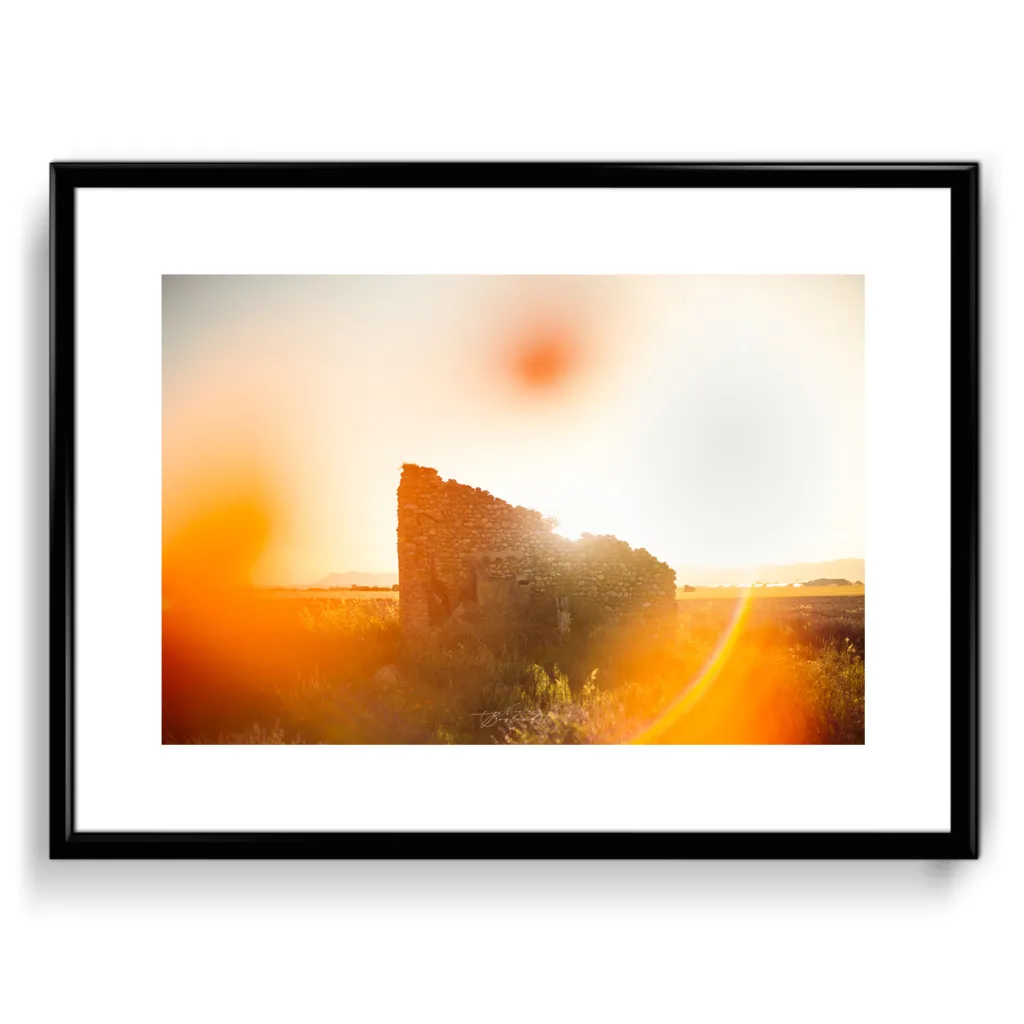 Lavande lever de soleil coquelicots