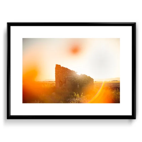 Lavande lever de soleil coquelicots