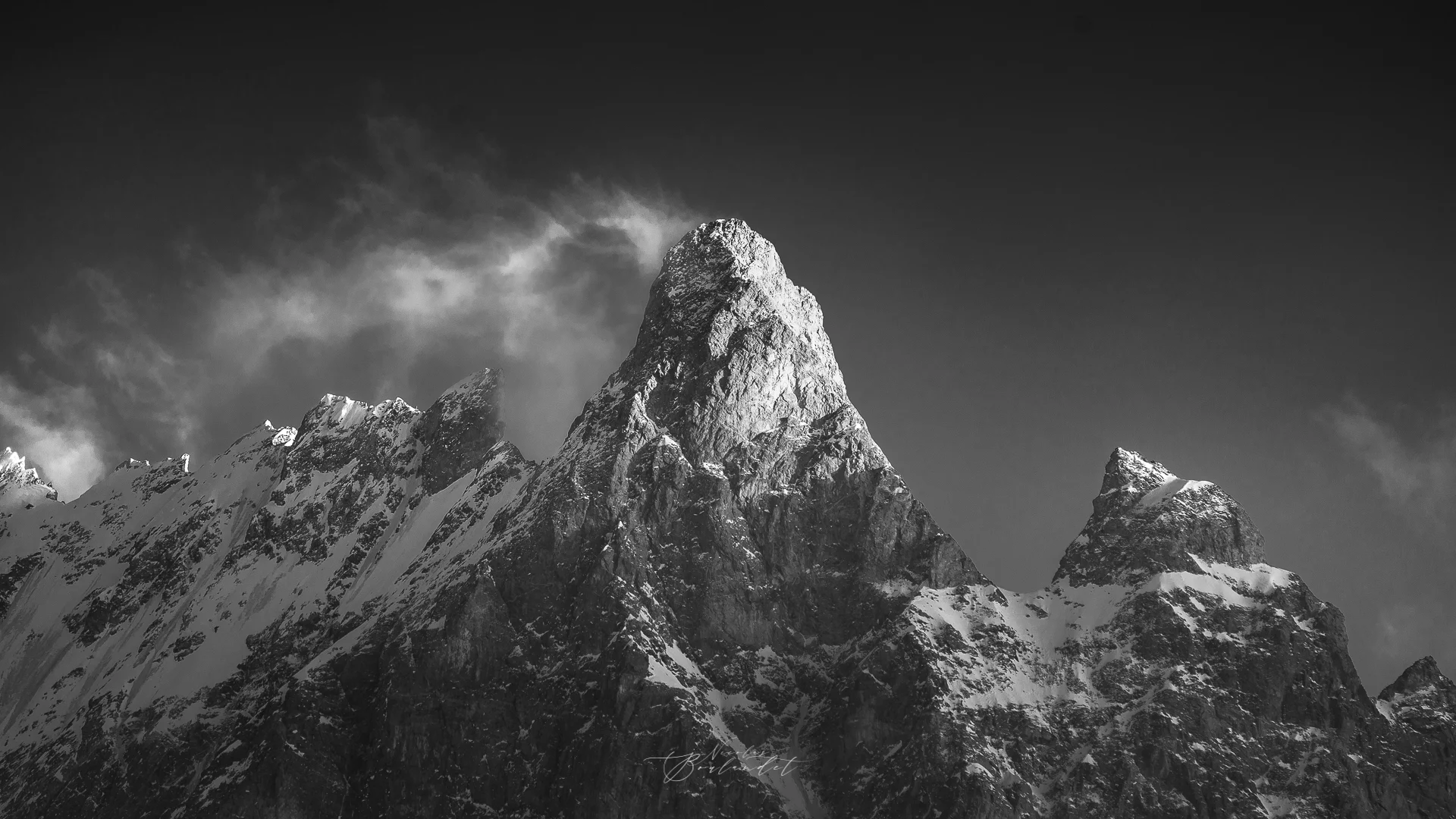 La Meige noir et blanc