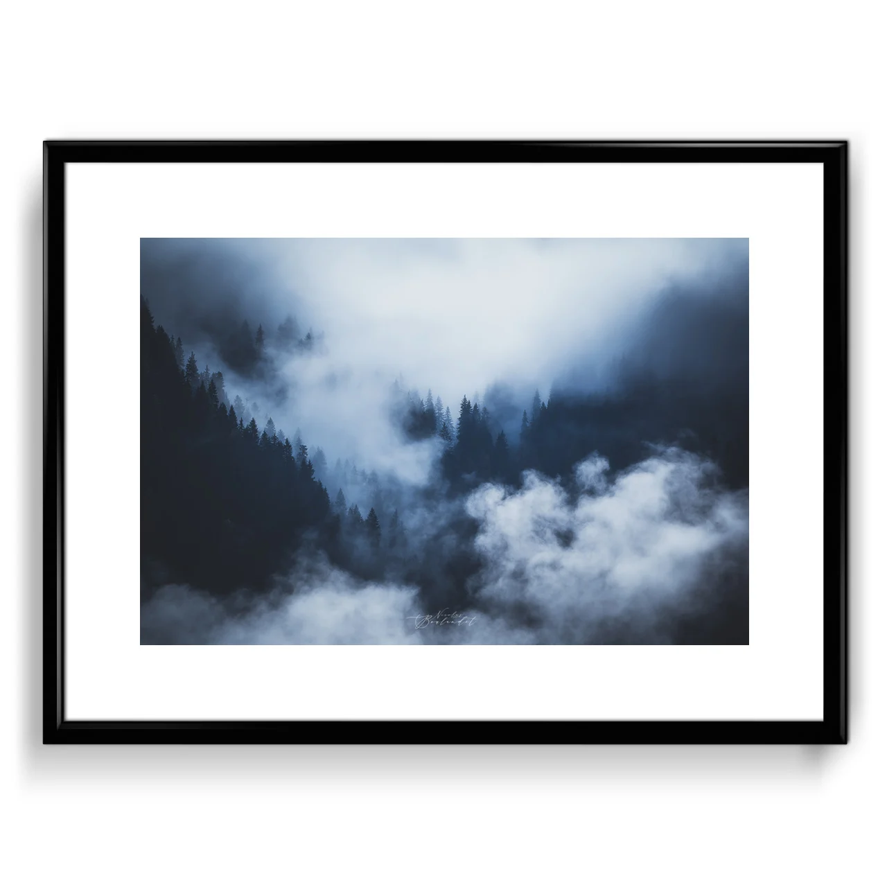 foret brumeuse dans les Dolomites